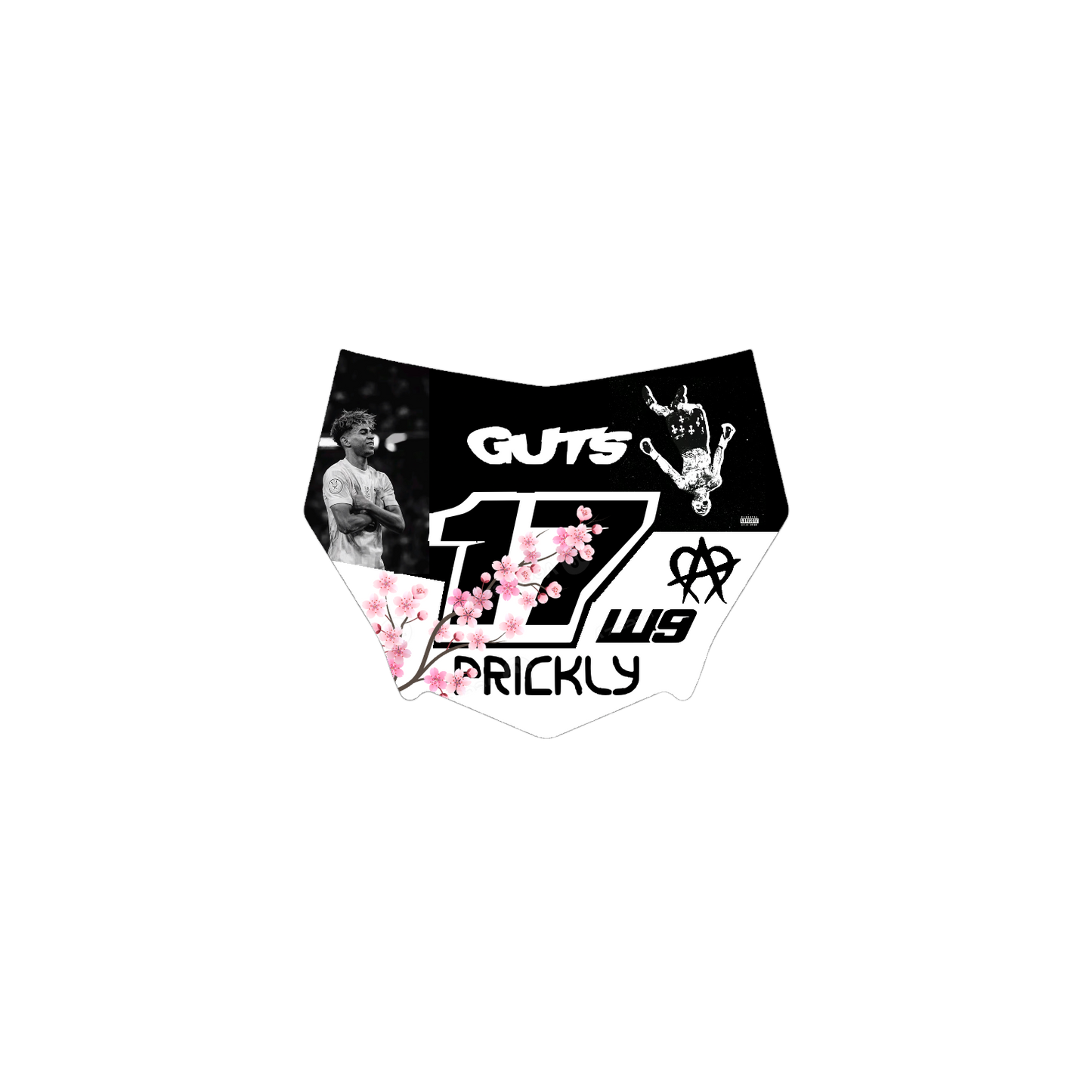 Motocutz Plate Decal