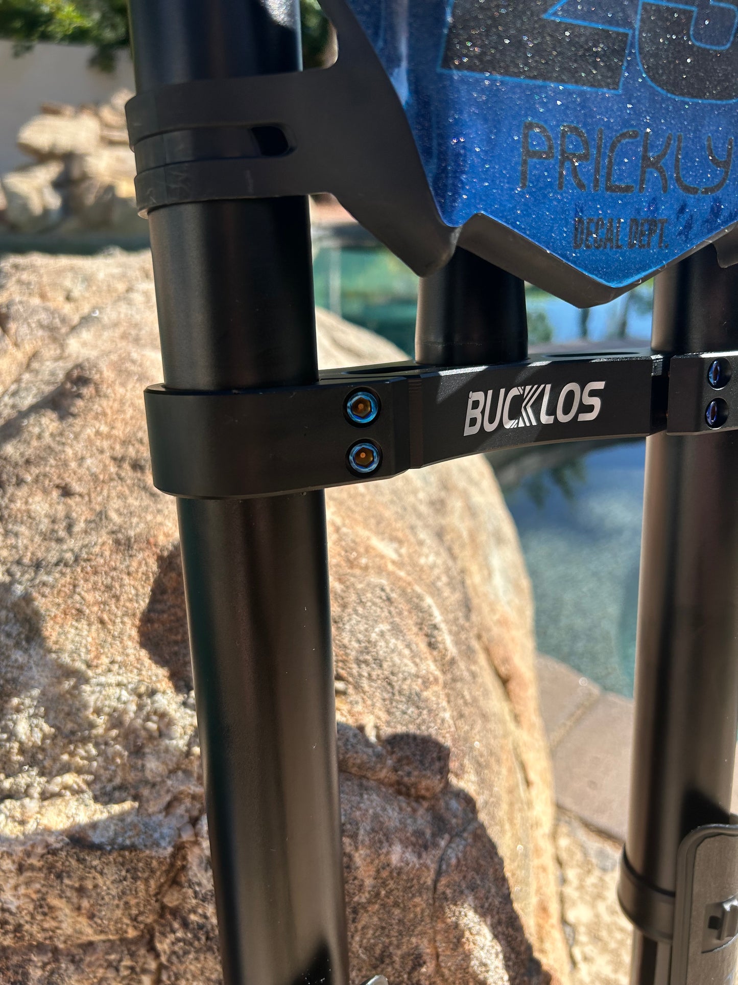 Titanium Triple Clamp Bolts